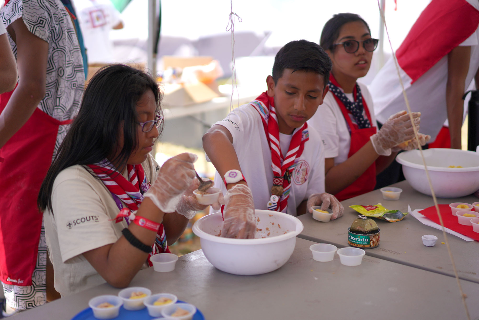 Cultural Celebration Day at Alpha Base Camp - 24th World Scout ...